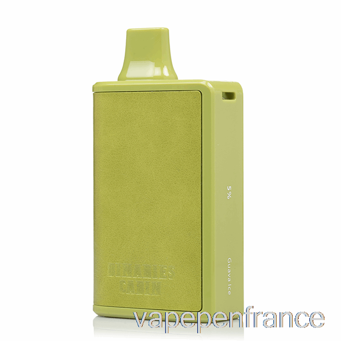 Horizon Binaires Cabine 10000 Stylo Jetable De Vape De Glace De Goyave